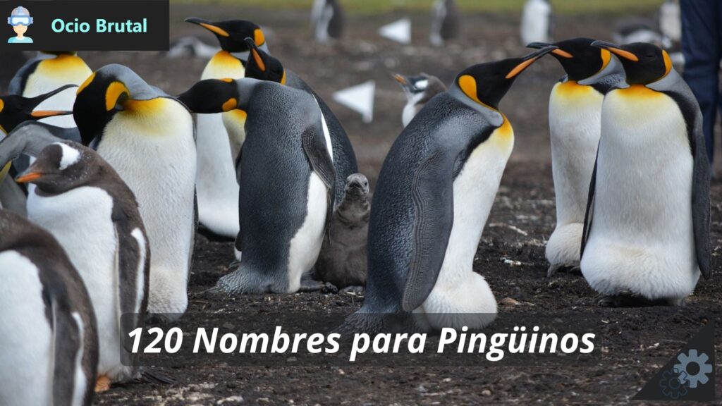 120 Nombres para Pingüinos