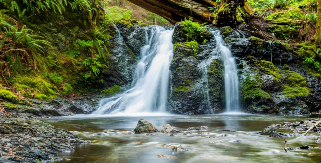 elementos de la naturaleza